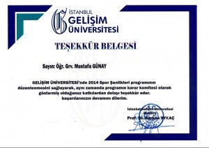 Gelişim Üniversitesi   